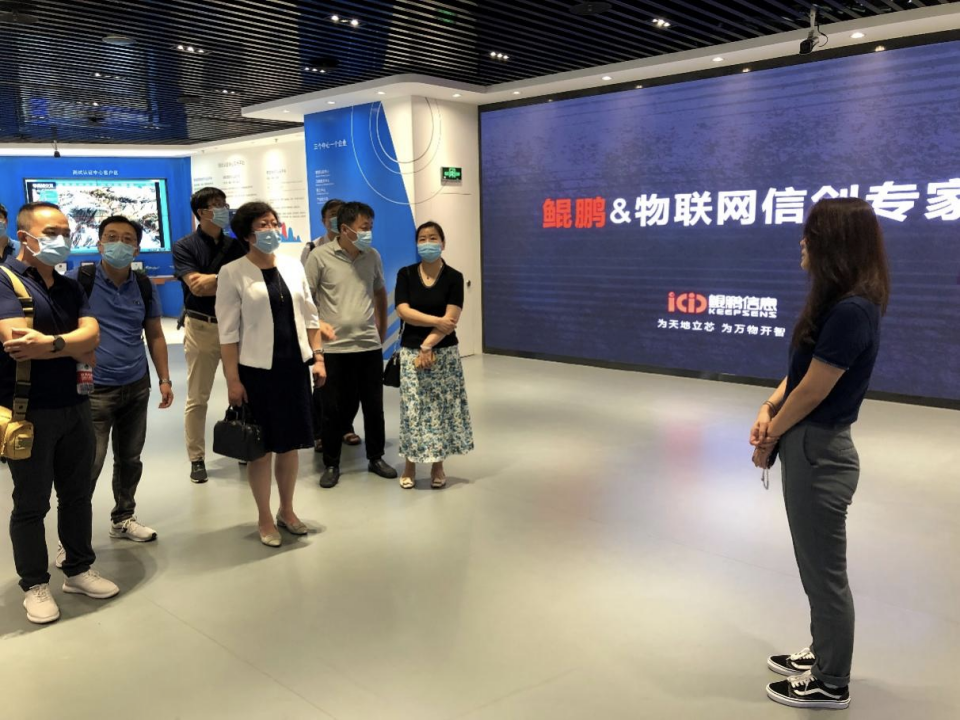 网赌app